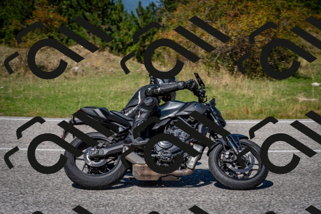 202509061237-DSC_1420_c2