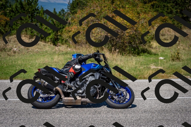 202509061237-DSC_1427_c2