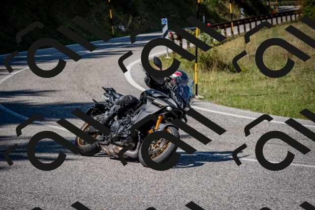 202509061237-DSC_1428_c2