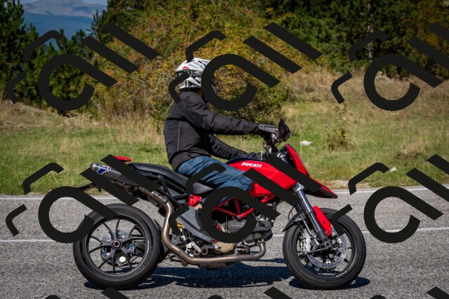 202509061238-DSC_1433_c2