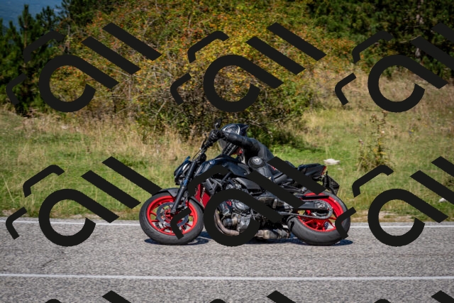 202509061238-DSC_1437_c2