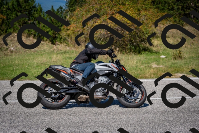 202509061238-DSC_1439_c2