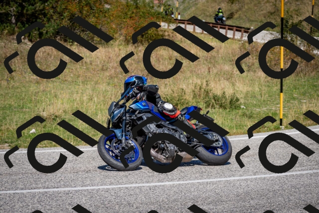 202509061238-DSC_1441_c2