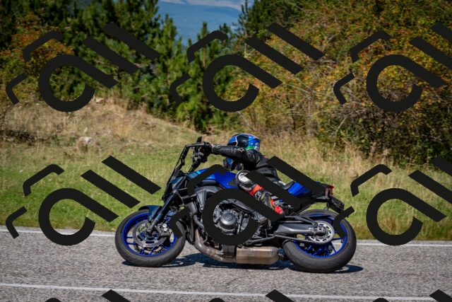 202509061238-DSC_1442_c2