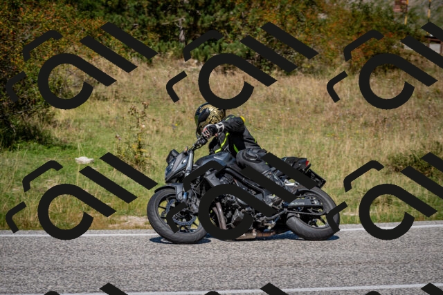 202509061238-DSC_1450_c2