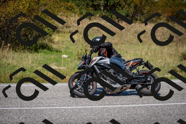 202509061238-DSC_1454_c2