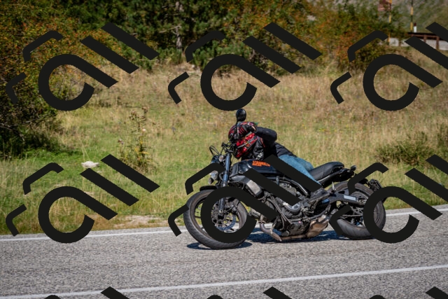 202509061238-DSC_1456_c2