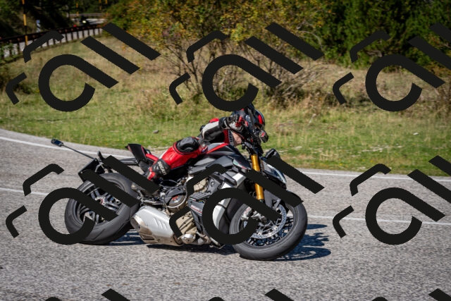 202509061238-DSC_1458_c2