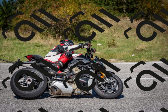 202509061238-DSC_1459_c2