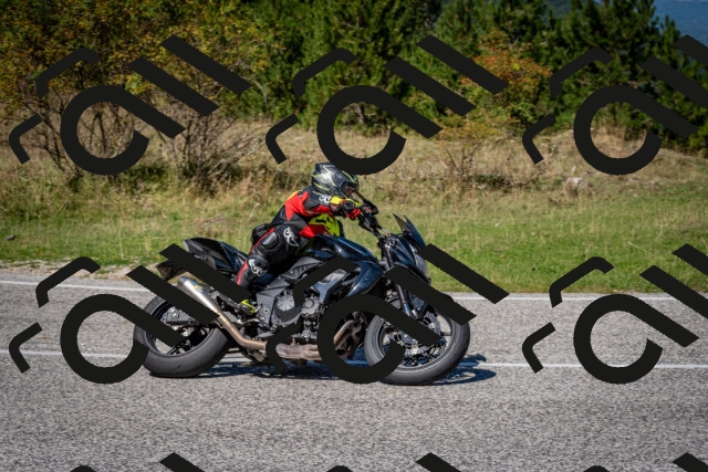 202509061238-DSC_1461_c2