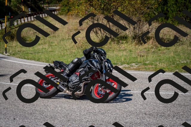 202509061238-DSC_1465_c2