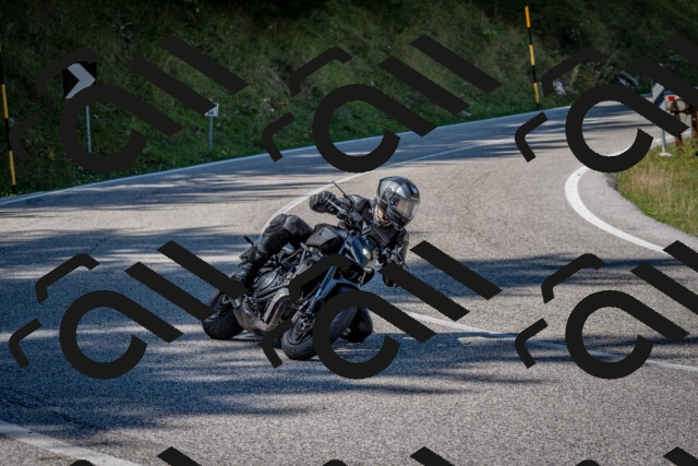 202509061239-DSC_1466_c2