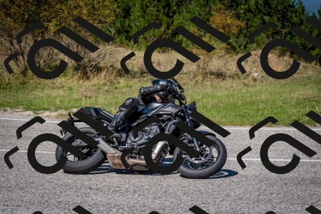 202509061239-DSC_1467_c2