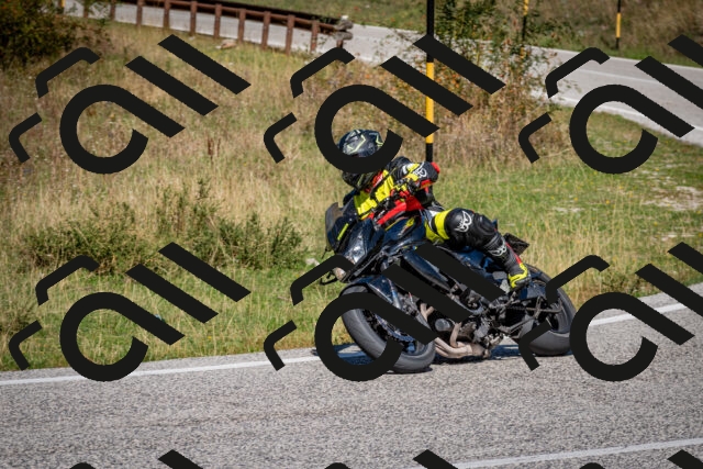 202509061239-DSC_1469_c2