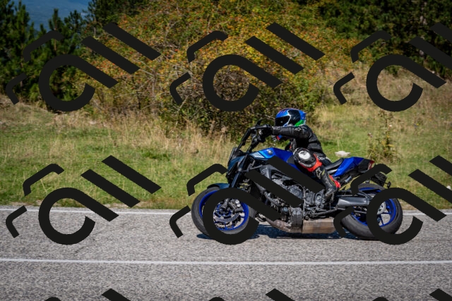 202509061239-DSC_1471_c2