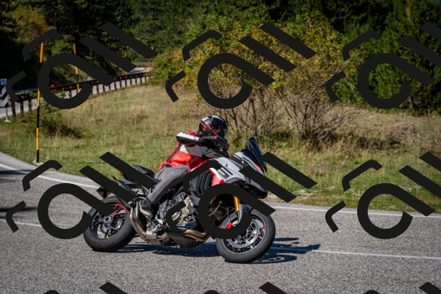 202509061239-DSC_1473_c2