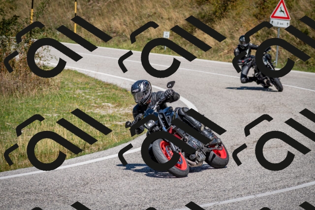 202509061239-DSC_1474_c2