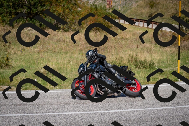 202509061239-DSC_1475_c2