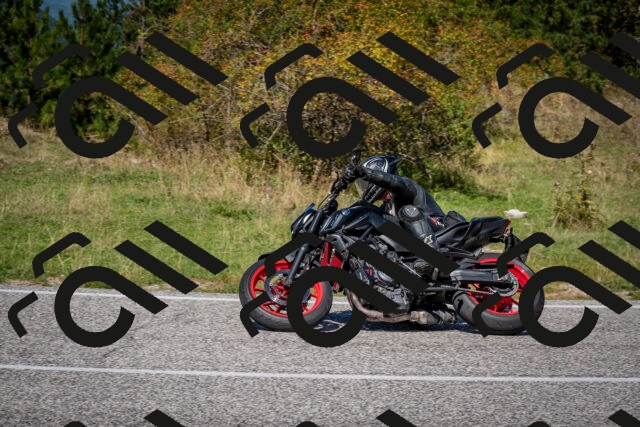 202509061239-DSC_1476_c2