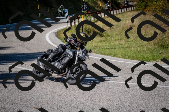 202509061239-DSC_1478_c2