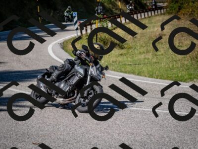 202509061239-DSC_1478_c2