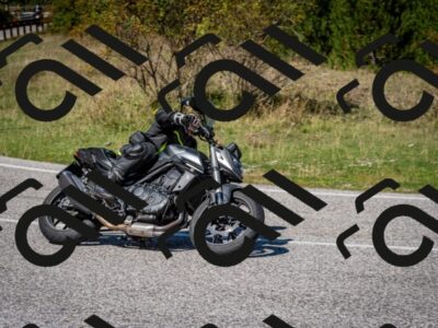 202509061239-DSC_1479_c2