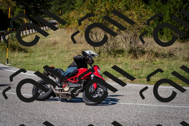 202509061239-DSC_1488_c2