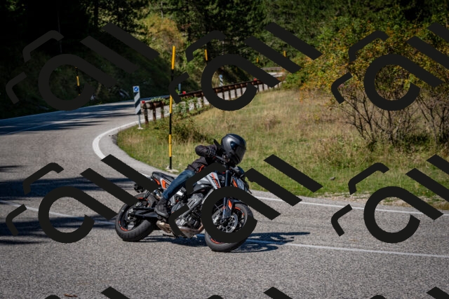 202509061239-DSC_1489_c2