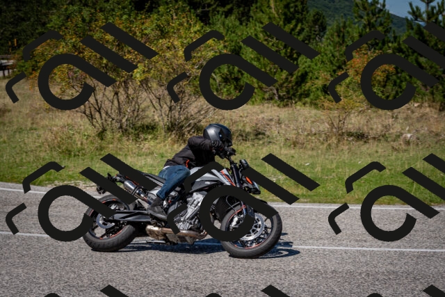 202509061239-DSC_1490_c2