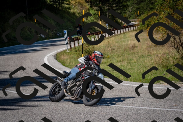 202509061239-DSC_1491_c2