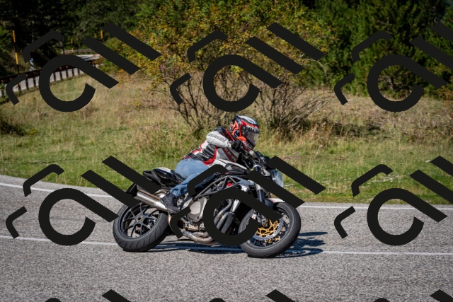 202509061239-DSC_1492_c2