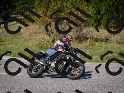 202509061239-DSC_1492_c2