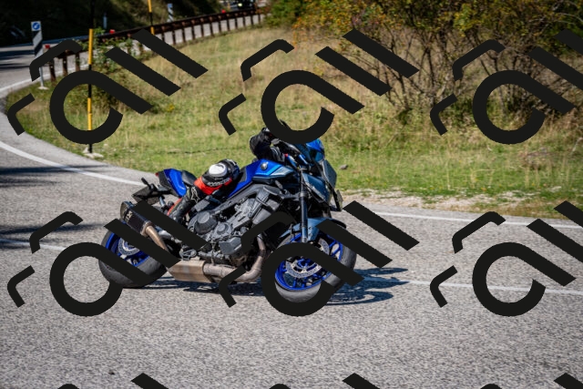 202509061240-DSC_1494_c2