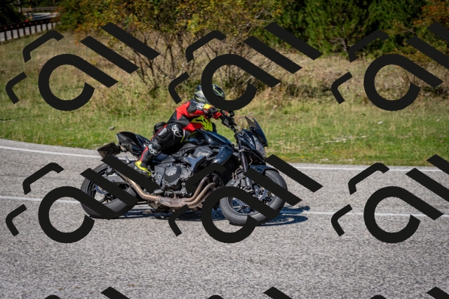 202509061240-DSC_1497_c2