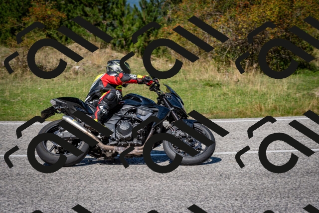 202509061240-DSC_1498_c2