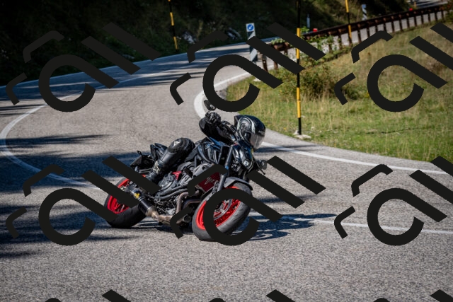 202509061240-DSC_1499_c2