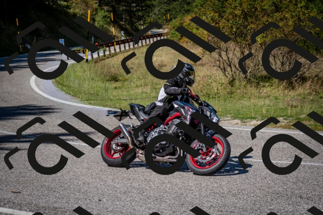 202509061240-DSC_1507_c2