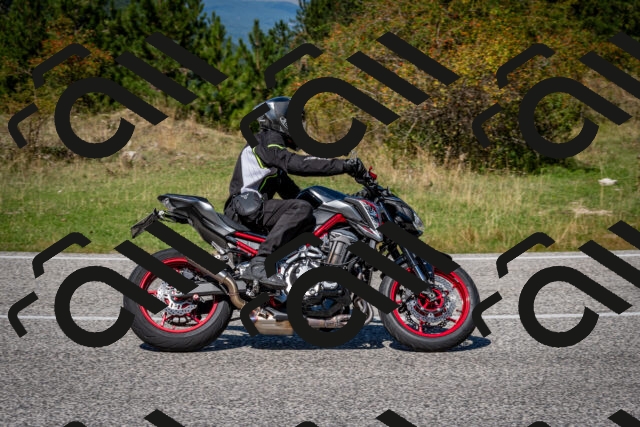 202509061240-DSC_1508_c2