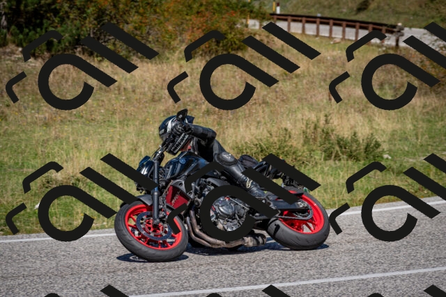 202509061240-DSC_1515_c2