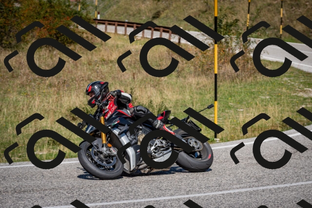 202509061241-DSC_1517_c2