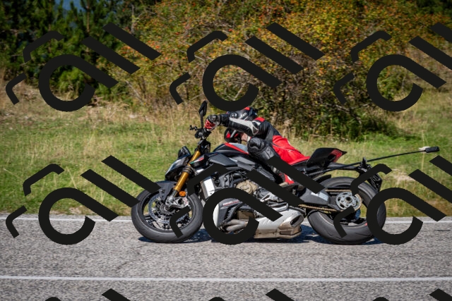 202509061241-DSC_1518_c2