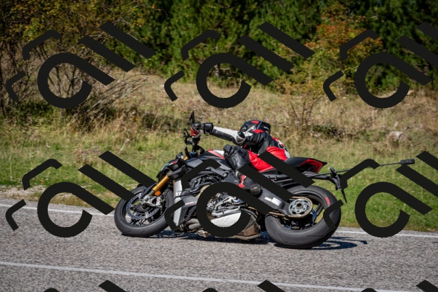 202509061241-DSC_1519_c2