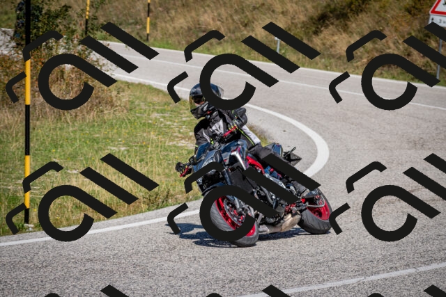 202509061241-DSC_1520_c2