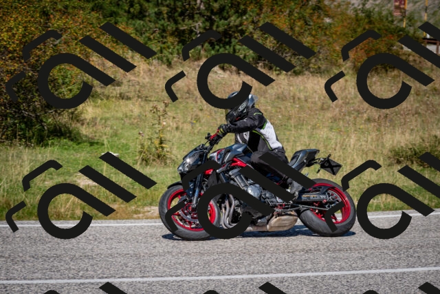 202509061241-DSC_1521_c2