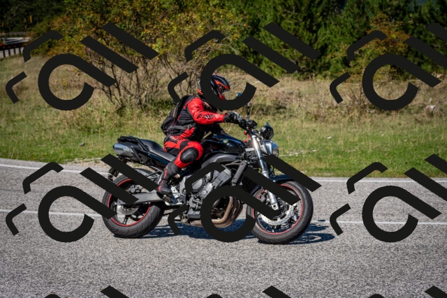 202509061241-DSC_1522_c2