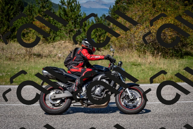 202509061241-DSC_1523_c2