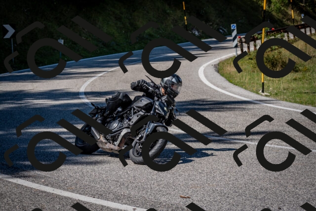 202509061241-DSC_1531_c2