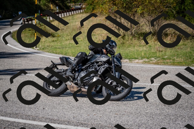 202509061241-DSC_1532_c2