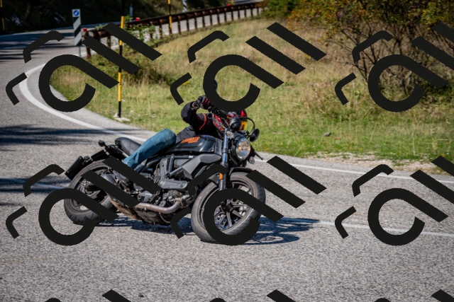 202509061241-DSC_1534_c2