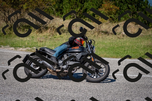 202509061241-DSC_1535_c2